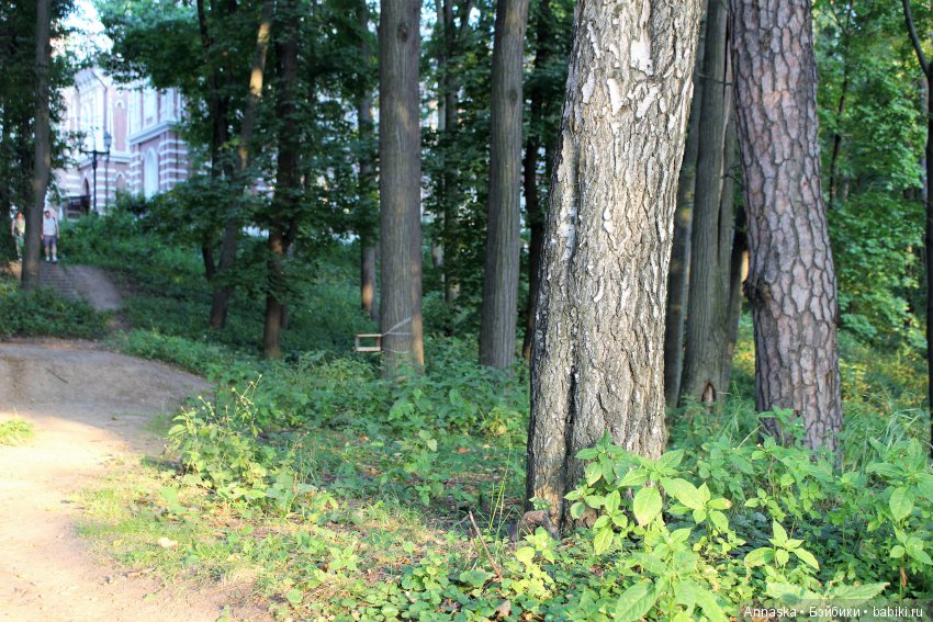 Где живут феи — Фотоистории с куклами BJD (БЖД): сериалы