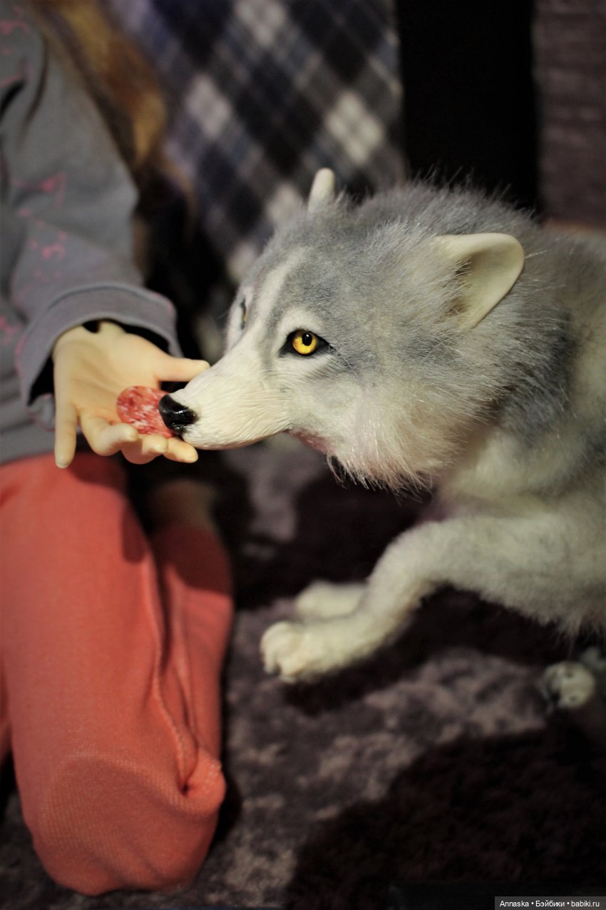 Белла и Мика, девичьи посиделки (фото 9)