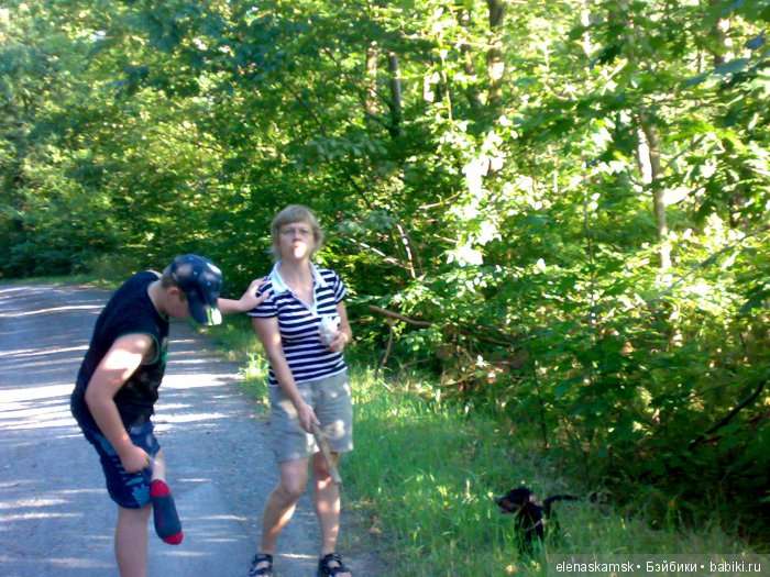 Любите ли Вы домашних животных