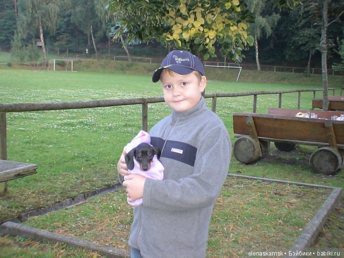 Любите ли Вы домашних животных (фото 8)