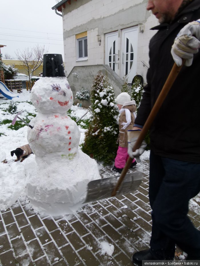 Любите ли Вы домашних животных