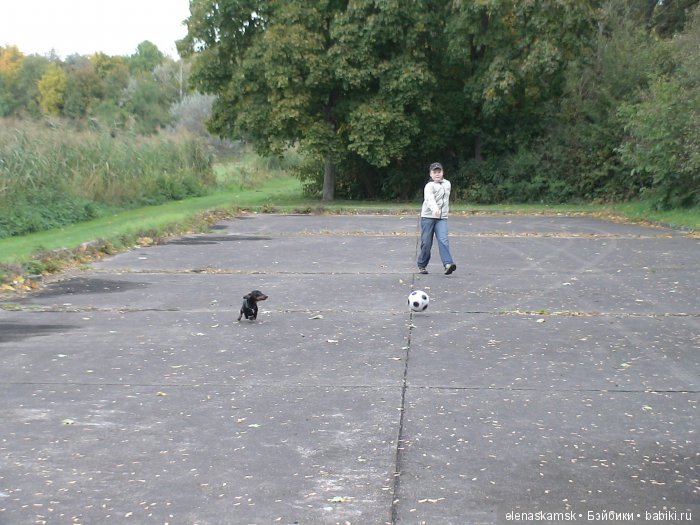 Любите ли Вы домашних животных (фото 9)