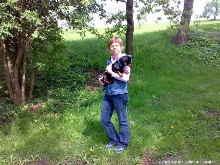 Любите ли Вы домашних животных