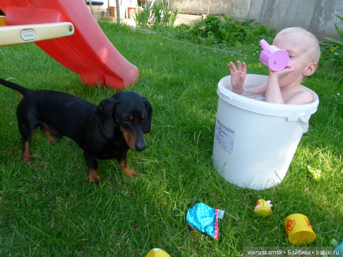 Любите ли Вы домашних животных