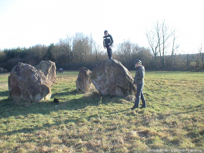 Любите ли Вы домашних животных