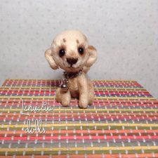 Тимоша. Еще один щеночек