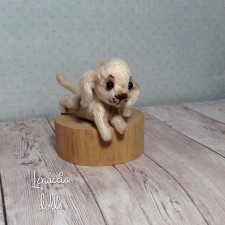 Скромняга Джулиус