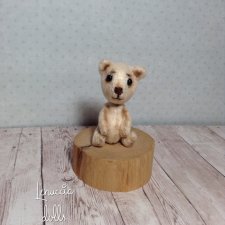 Застенчивый Густав