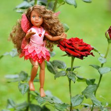 Моя история о Феях! Крузелинг