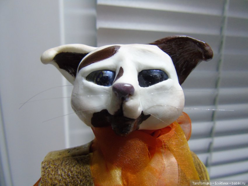 Кот Хиппи — Другие хобби и увлечения: сад (фото 10)