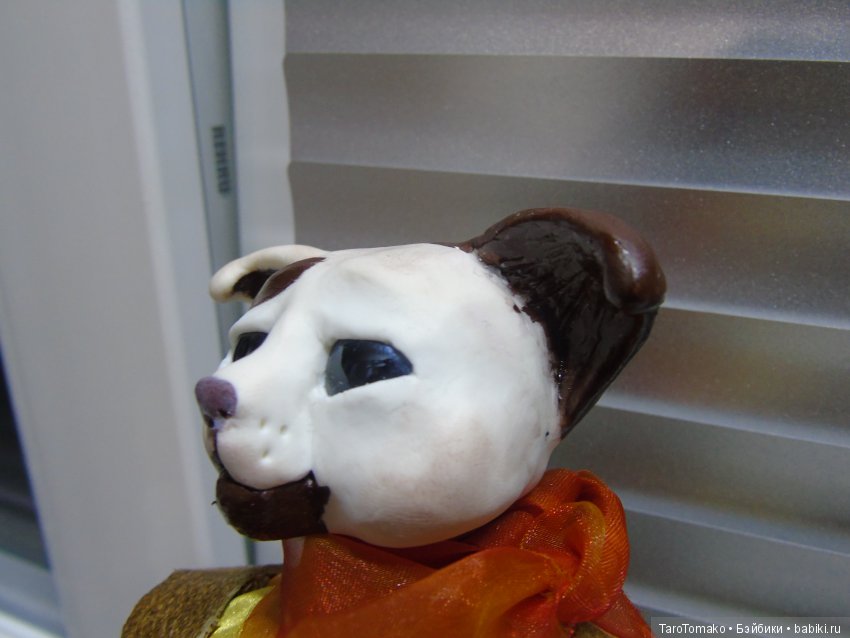 Кот Хиппи — Другие хобби и увлечения: сад (фото 3)