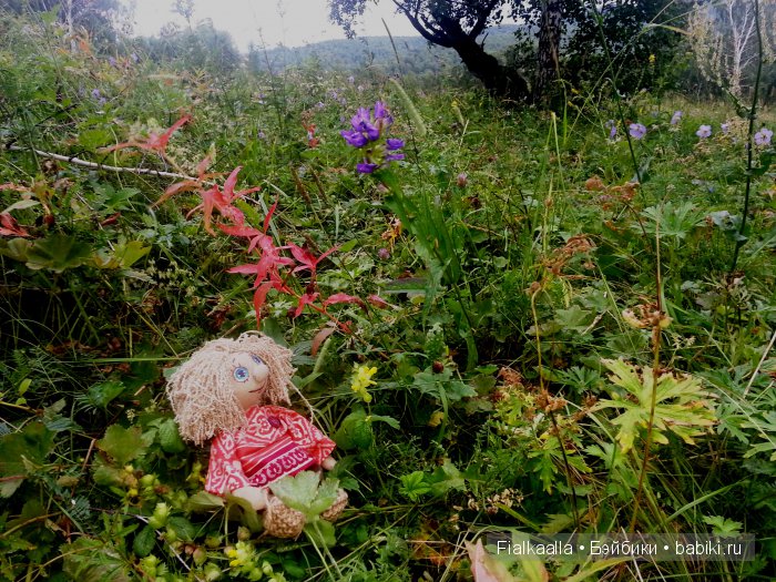 В большом лесу — Интересные игрушки и фигурки (разное): редкие (фото 10)