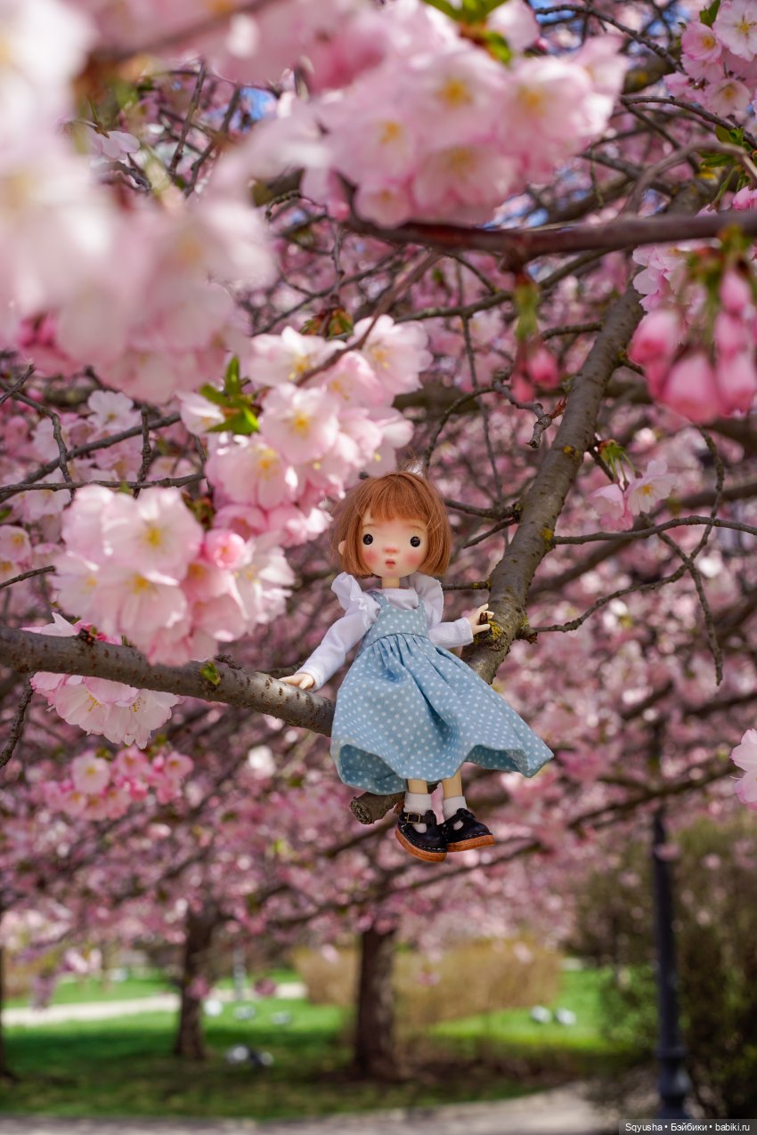 🌸Весна — время сакуры, новых кукол и путешествий. 🗺️