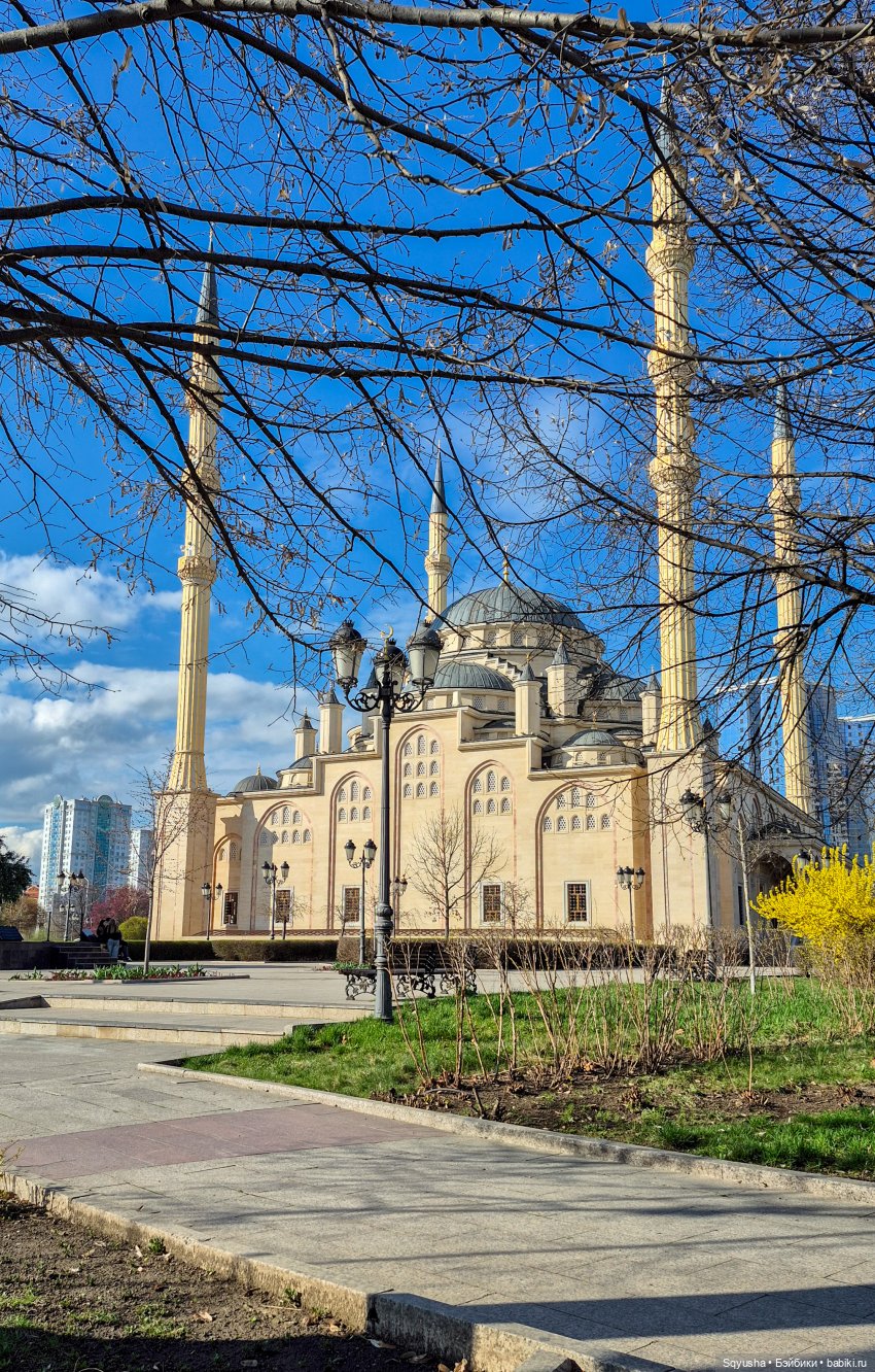 🌸Весна — время сакуры, новых кукол и путешествий. 🗺️