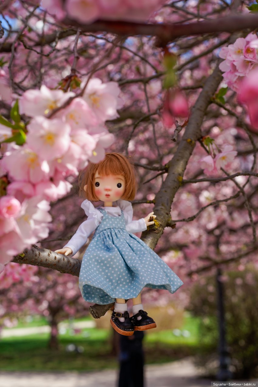 🌸Весна — время сакуры, новых кукол и путешествий. 🗺️
