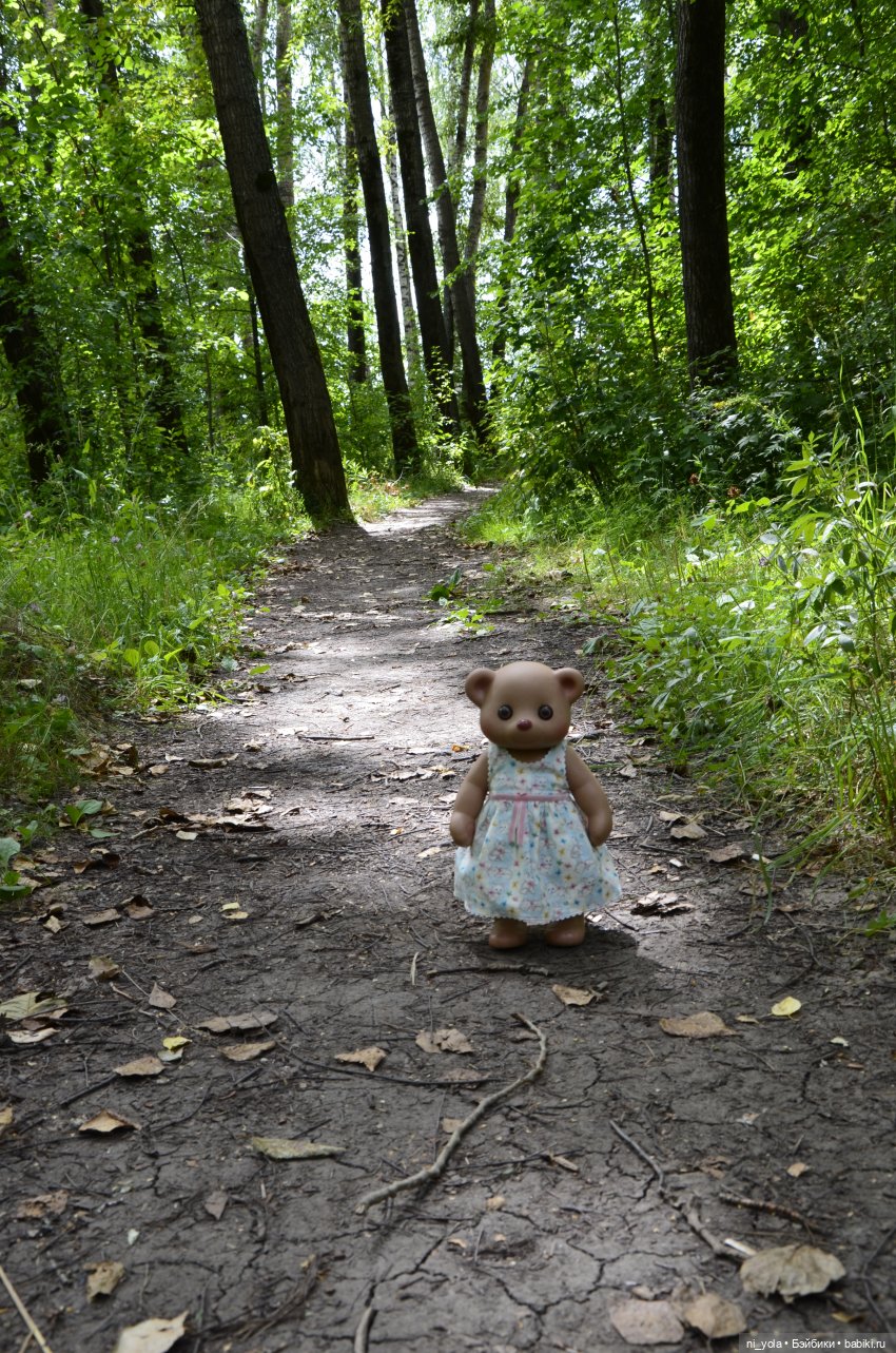 Прогулка по Сосновой роще (фото 2)