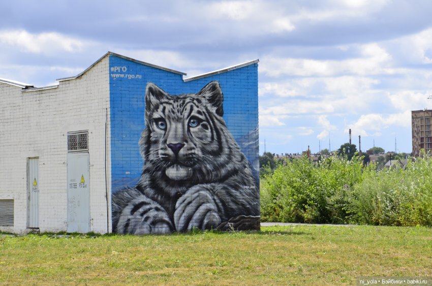 Прогулка по Сосновой роще (фото 9)