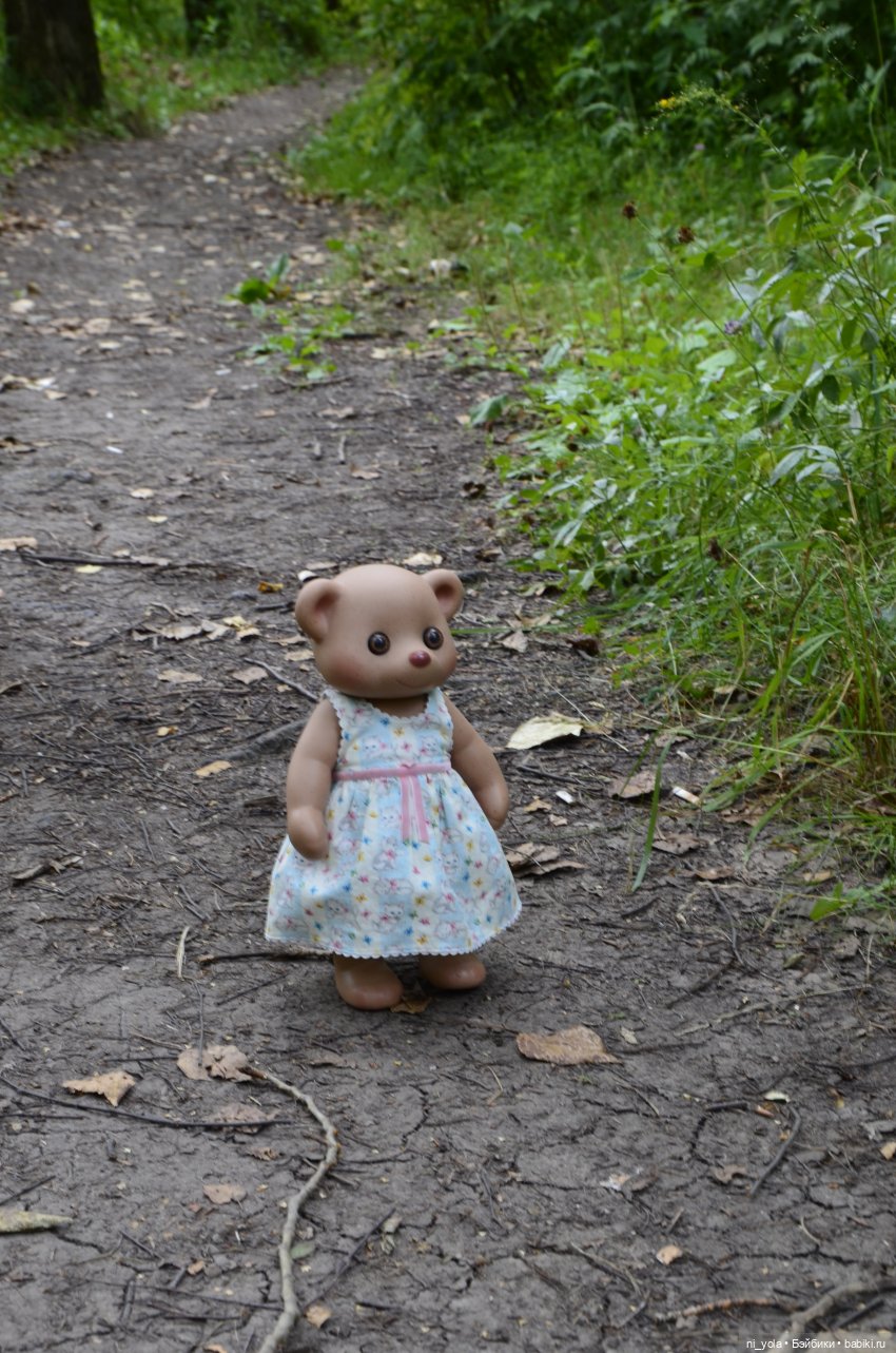 Прогулка по Сосновой роще (фото 3)