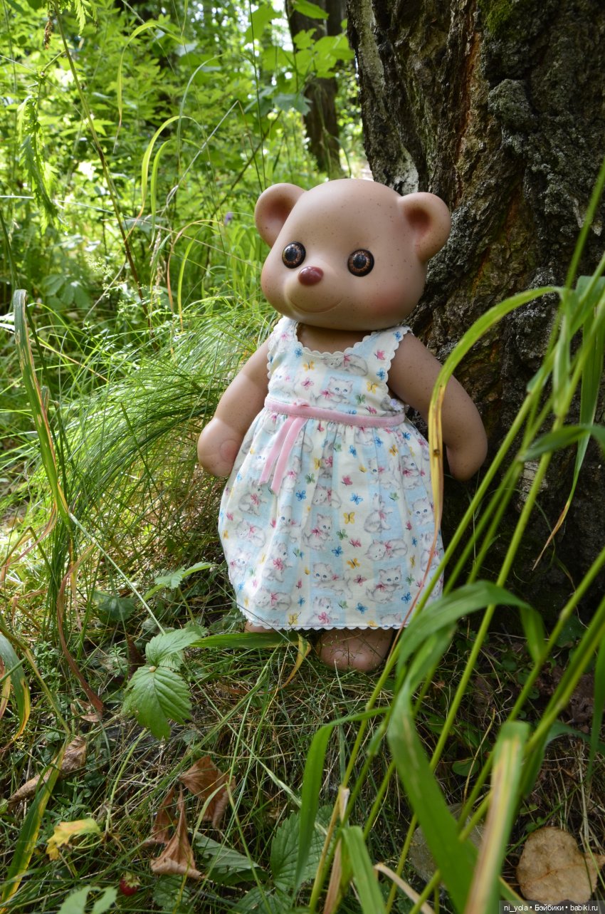 Прогулка по Сосновой роще (фото 4)