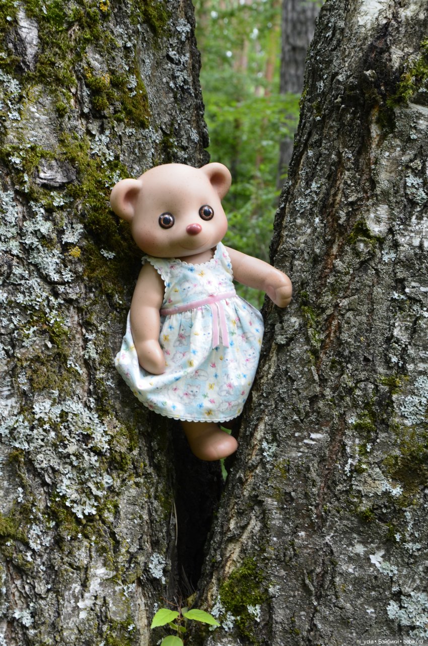 Прогулка по Сосновой роще (фото 7)