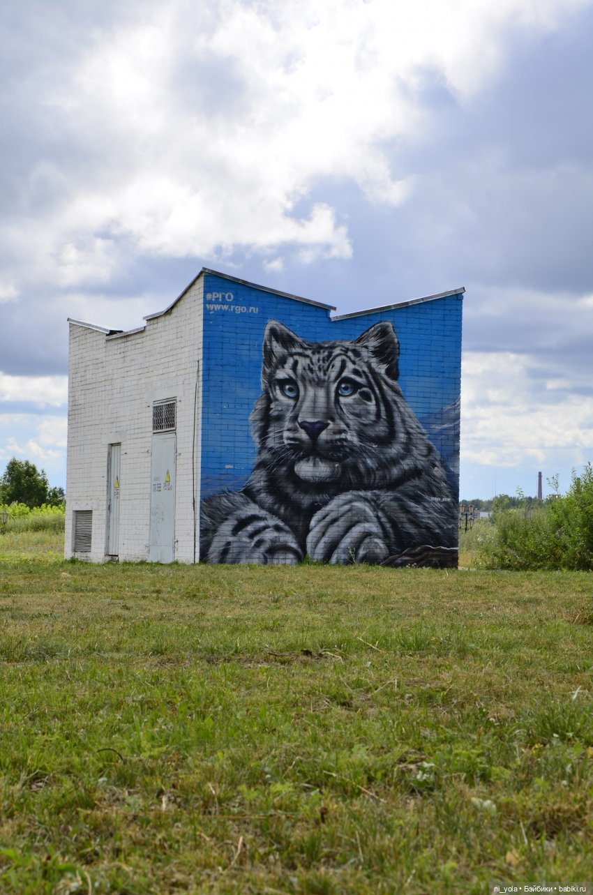 Прогулка по Сосновой роще