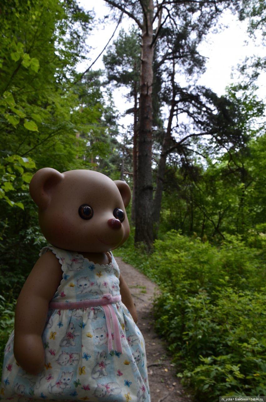 Прогулка по Сосновой роще (фото 8)