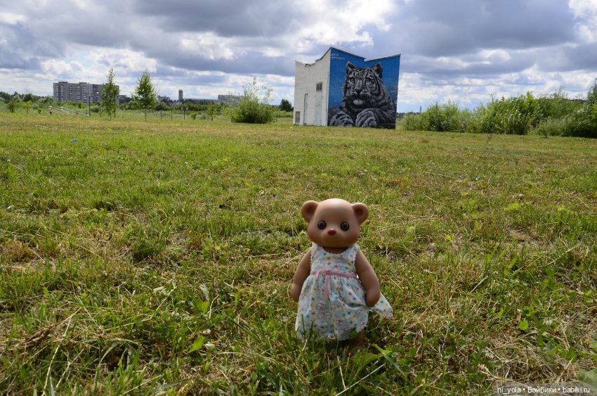 Прогулка по Сосновой роще (фото 10)