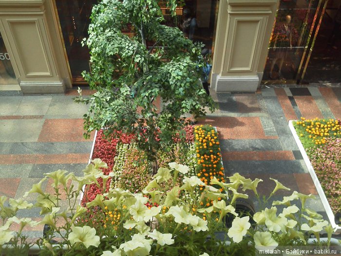 Москва. Весна в ГУМе — Туризм и путешествия: фотоотчеты из поездок