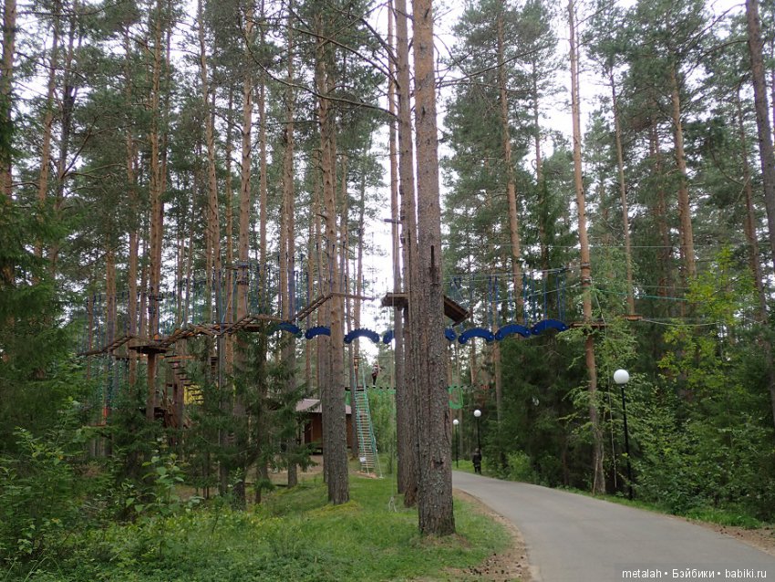 Выезд на природу или сюрприз для Джинни