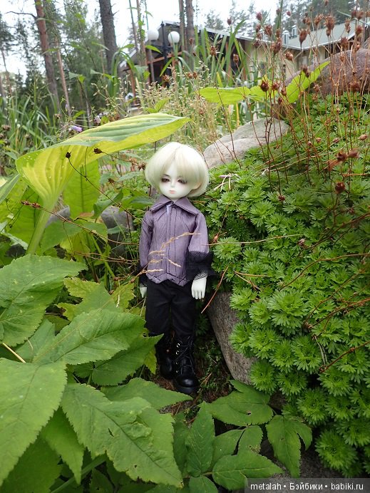 Выезд на природу или сюрприз для Джинни