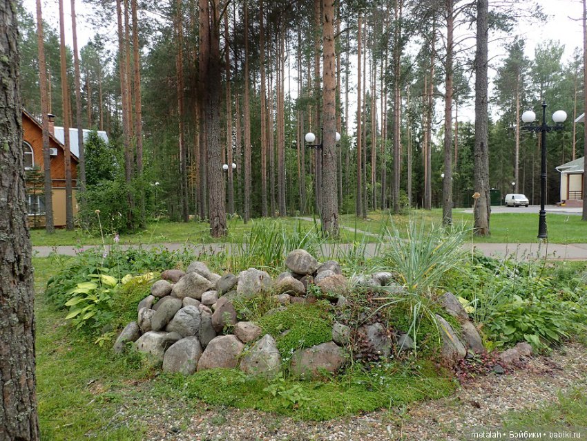 Выезд на природу или сюрприз для Джинни