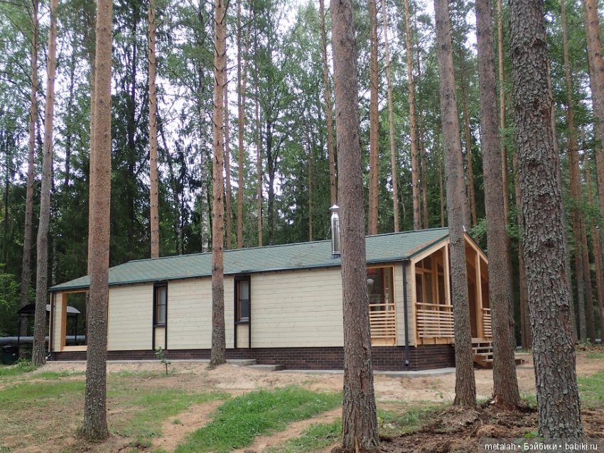 Выезд на природу или сюрприз для Джинни