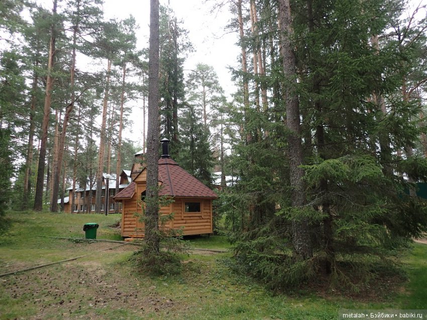 Выезд на природу или сюрприз для Джинни