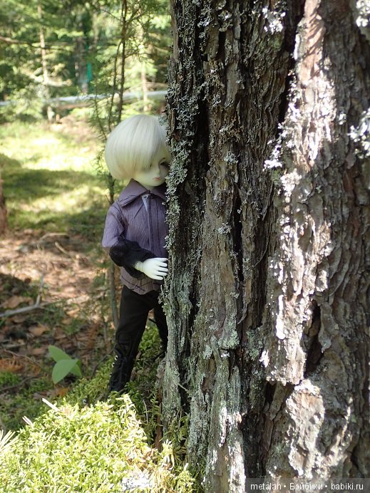 Выезд на природу или сюрприз для Джинни