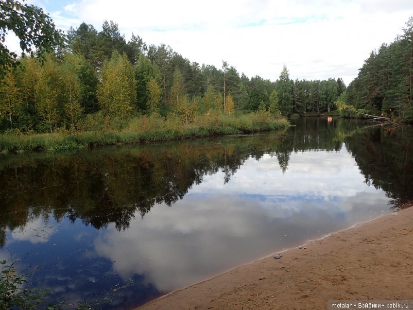 Выезд на природу или сюрприз для Джинни (фото 3)