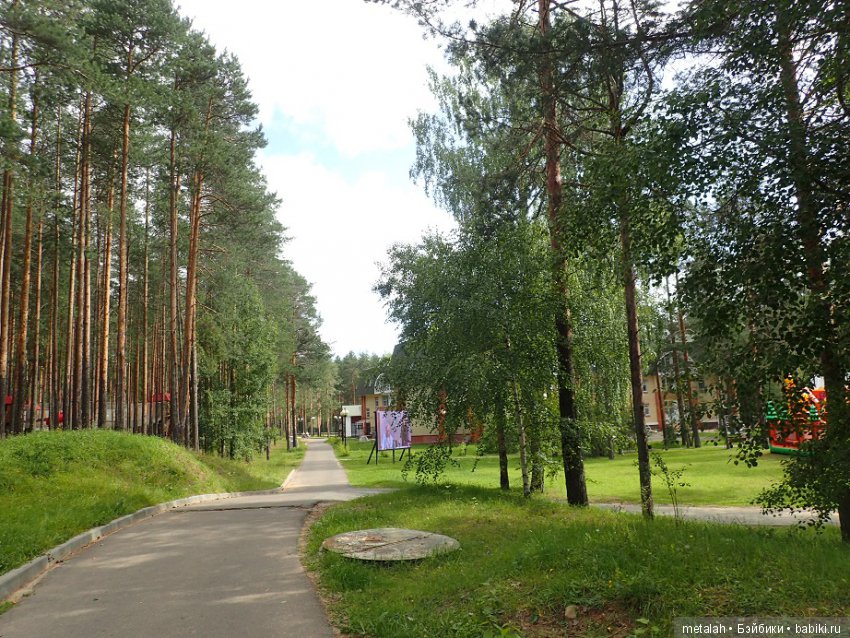 Выезд на природу или сюрприз для Джинни (фото 2)