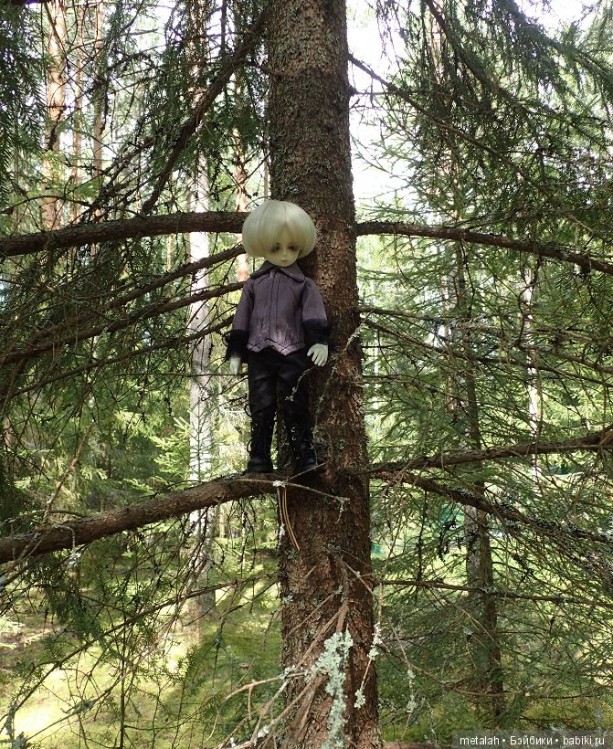 Выезд на природу или сюрприз для Джинни