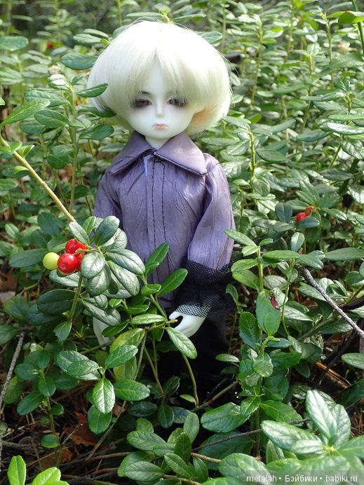 Выезд на природу или сюрприз для Джинни