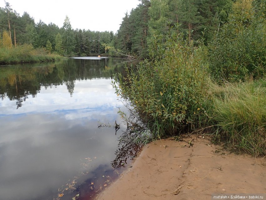 Выезд на природу или сюрприз для Джинни