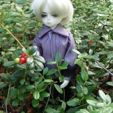 Выезд на природу или сюрприз для Джинни