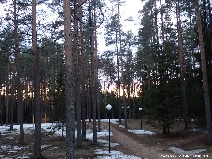 Локи на отдыхе или недовольные на природе