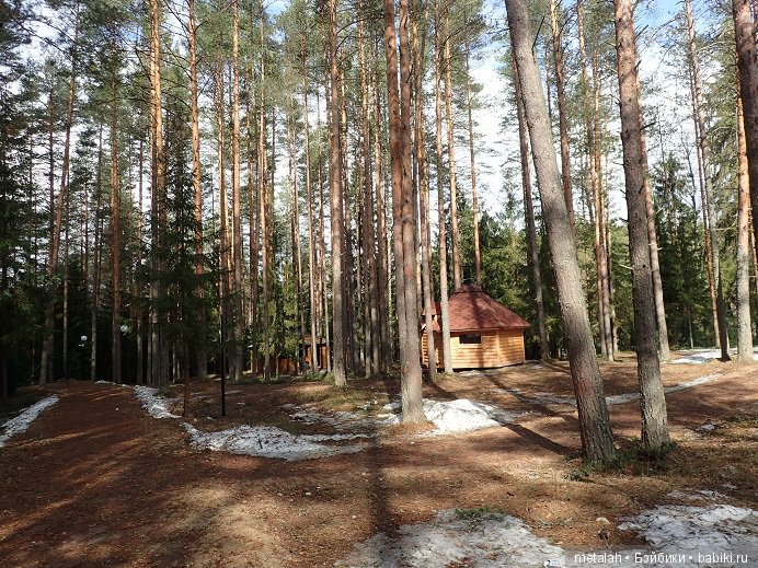 Локи на отдыхе или недовольные на природе (фото 6)