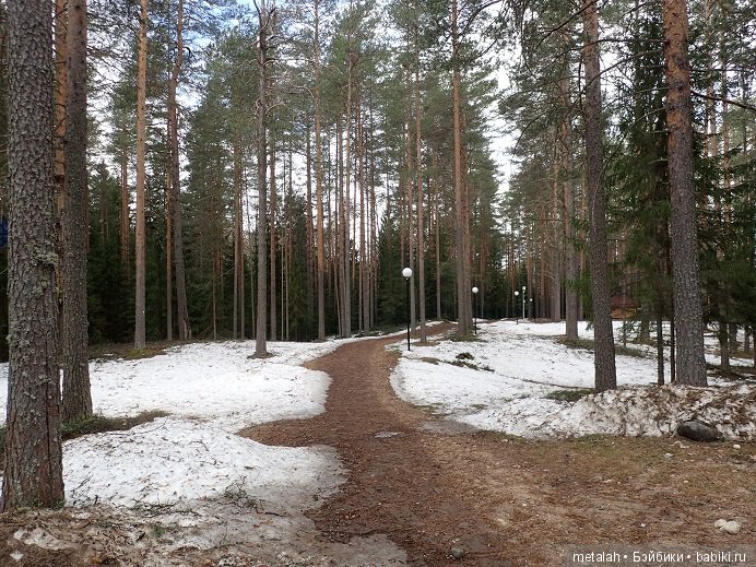 Локи на отдыхе или недовольные на природе (фото 2)