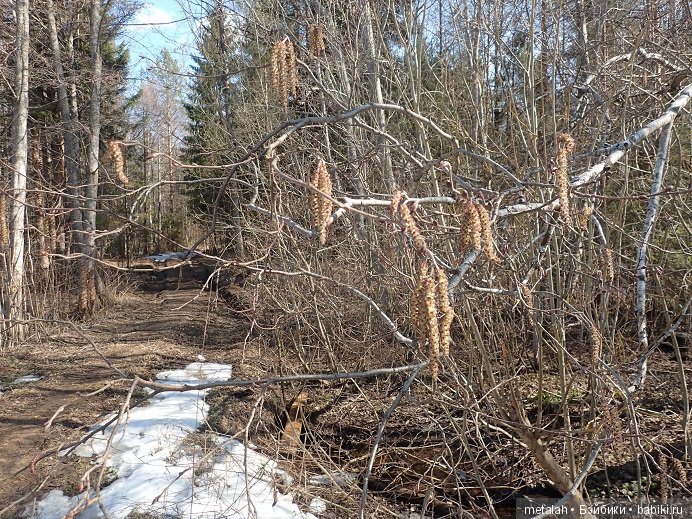 Локи на отдыхе или недовольные на природе