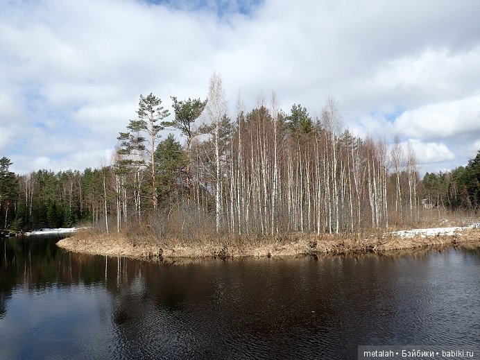 Локи на отдыхе или недовольные на природе (фото 9)