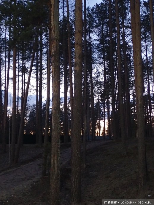 Локи на отдыхе или недовольные на природе