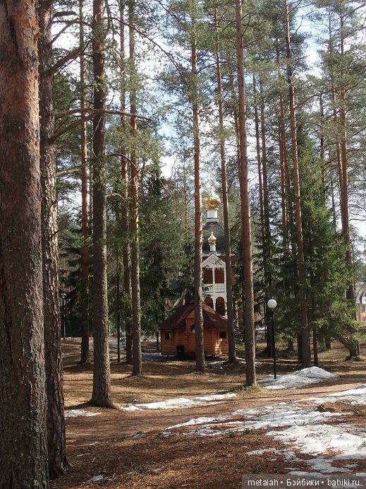 Локи на отдыхе или недовольные на природе (фото 7)