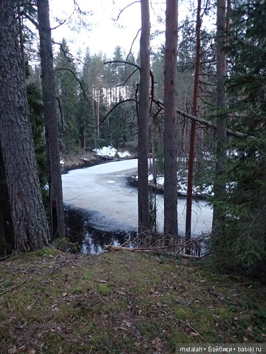 Локи на отдыхе или недовольные на природе