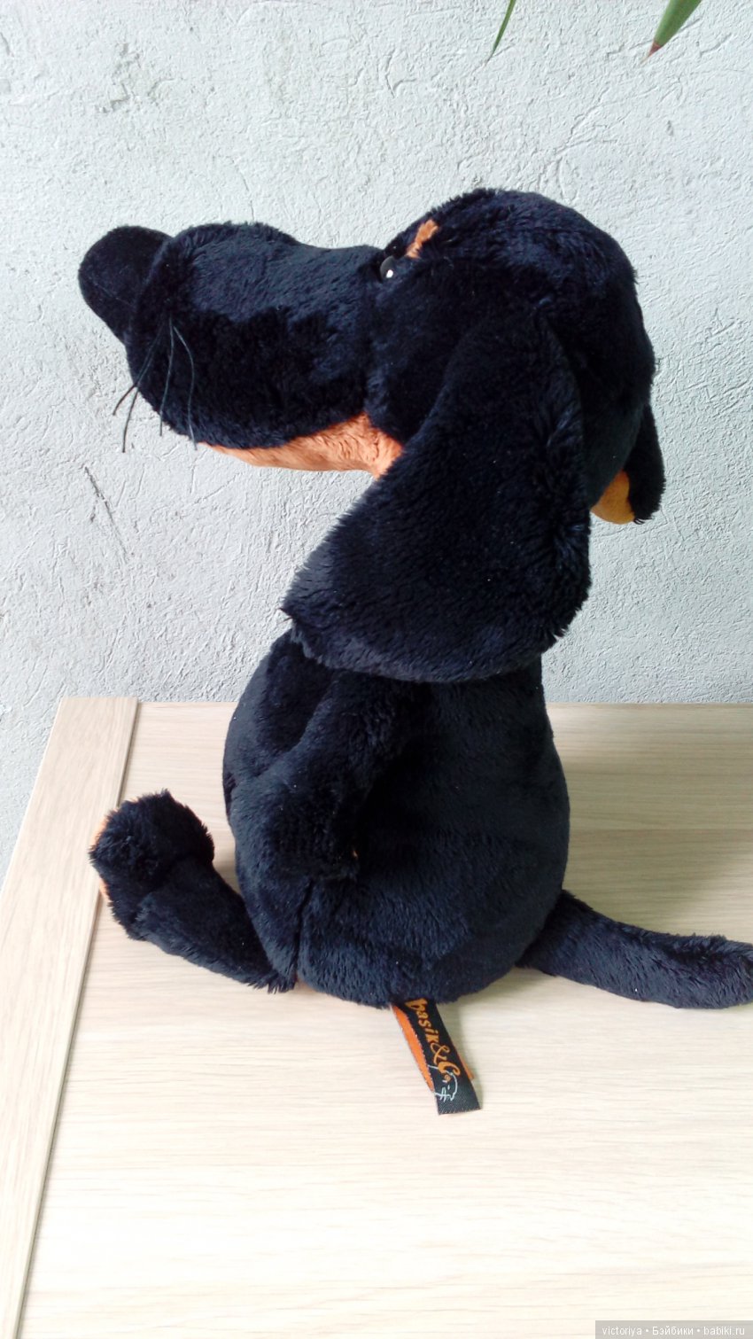 Обзор собачки Ваксона от Budi Basa