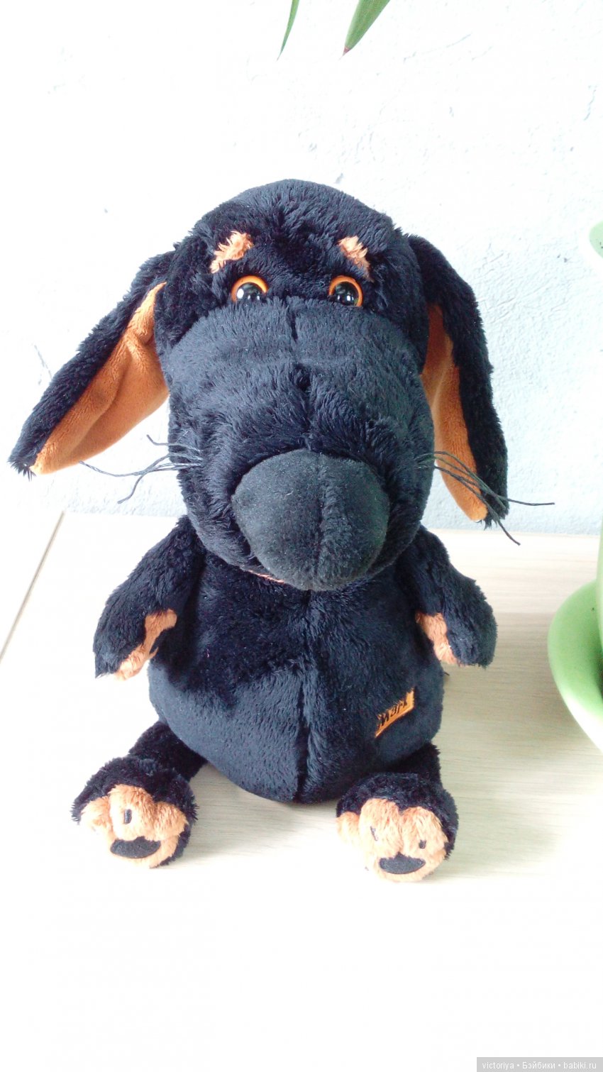 Обзор собачки Ваксона от Budi Basa